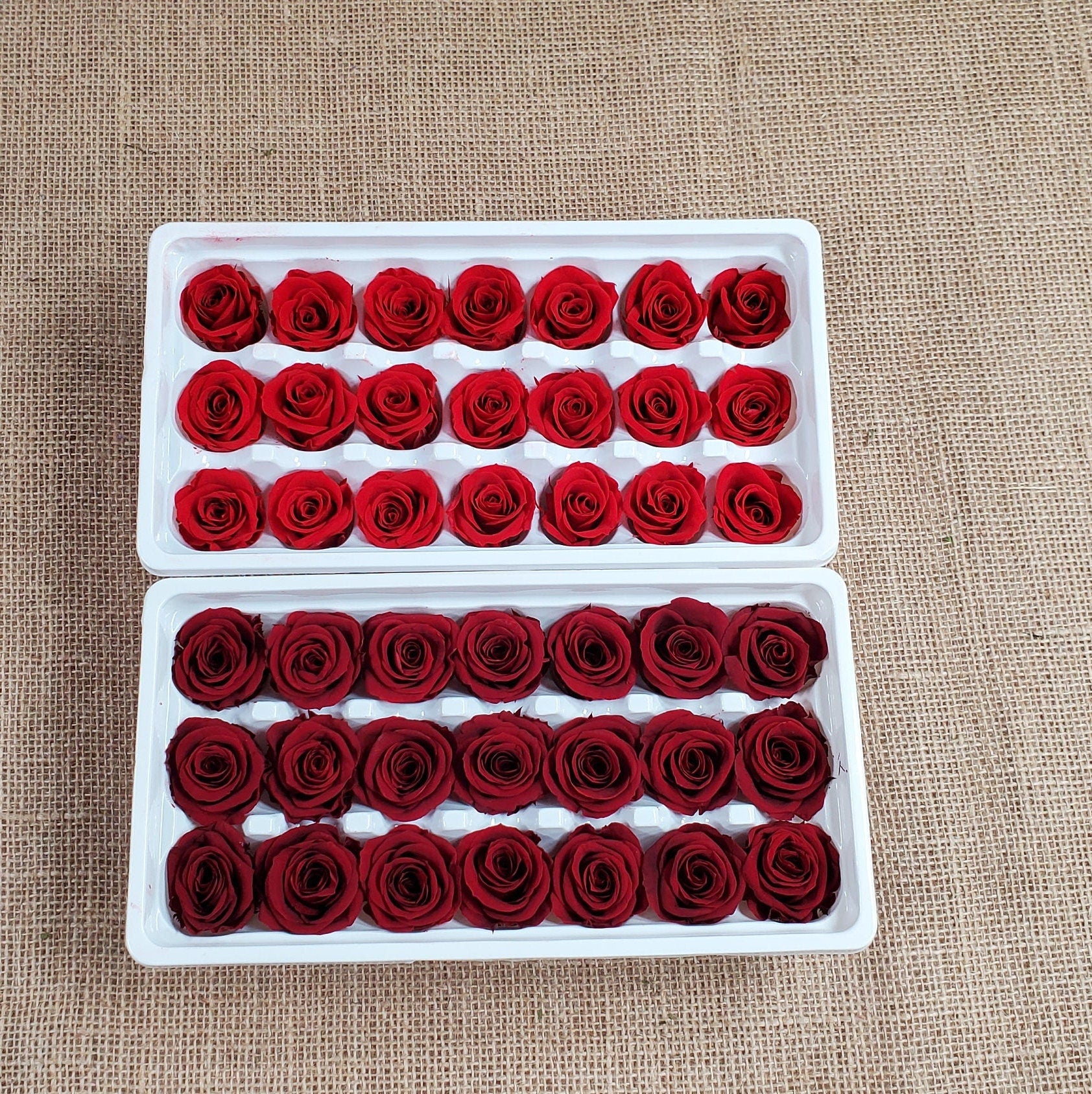 21 Red Preserved Roses / Prom, Mother's Day Flowers, Wedding Decor, Red Roses For Bouquet, Vase, Home Decor & DIY Floral Arrangements